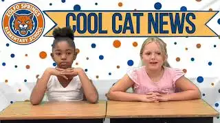 Cool Cat News: 1/30/26