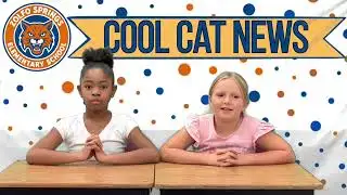 Cool Cat News: 2/3/26