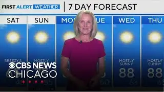 Cool with sunshine in Chicago