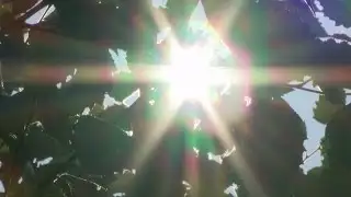 Cooling centers provide heat relief for people in need