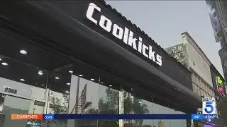CoolKicks owner arrested in LAPD raid