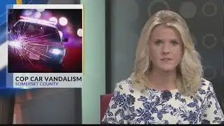 Cop car vandalism