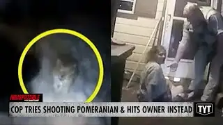 Cop Opens Fire At Pomeranian, Shoots Owner Instead
