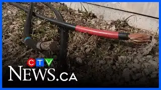 Copper cable theft leads to TV, internet outage in N.B.