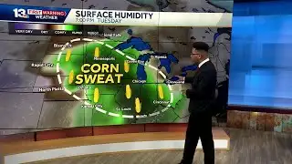 Corn Sweat: The hidden cause of extreme summer humidity