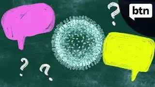 Coronavirus Questions - Behind the News