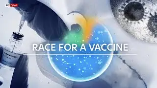 Coronavirus vaccine - how it would work