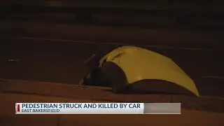 Coroner ID’s 68-year-old man struck, killed on Oswell St