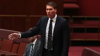 Cory Bernardi to run as lead upper house candidate for SA One Nation