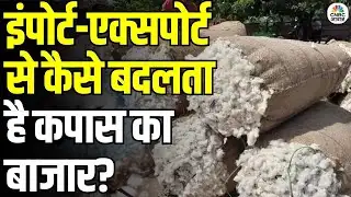 Cotton Price Fluctuation: कपास किसानों को फायदा या नुकसान? जानिए दाम तय करने वाला फॉर्मूला
