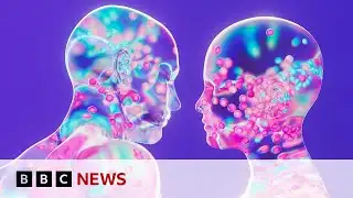 Could an AI App help us talk to the dead? | BBC News