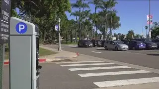 Could leaders suspend Balboa Park parking fees for residents?