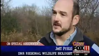 Counting the deer herd