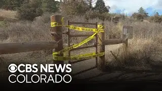 Couple was surrounded by mountain lions on trail weeks before fatal attack