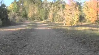 Court document reveals man