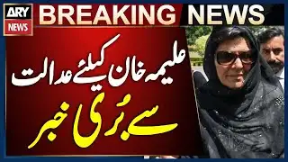 Court Issues Non-Bailable Arrest Warrant for Aleema Khan Again in November 26 Protest Case
