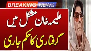 Court Issues Non-Bailable Arrest Warrant for Aleema Khan | Breaking News