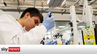 COVID-19: Can scientists make a virus 