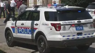 CPD disbands vice unit