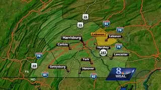 Crash splits car in two, snaps pole into three pieces