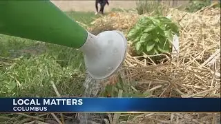 Creating healthy communities through food