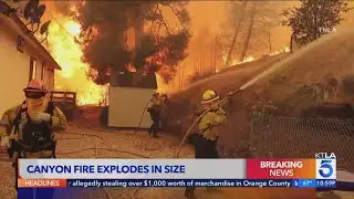 Crews battle massive Canyon Fire near Ventura, L.A. County border