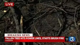 Crews battle several brush fires in CT