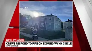 Crews battle Springfield building fire