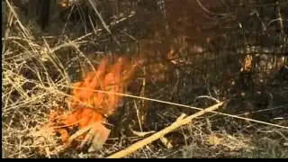 Crews put out small brush fires