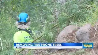 Crews rappel ravine for 
