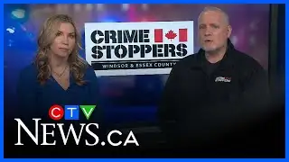 Crime Stoppers Report: auto theft trends in Windsor Ont.