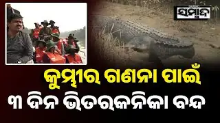 କୁମ୍ଭୀର ଗଣନା ପାଇଁ ୩ ଦିନ ଭିତରକନିକା ବନ୍ଦ: Crocodile Census Begins At Odisha