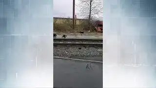 Crofton mill workers rescue site