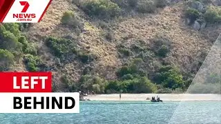 Cruise passenger dies after being left on Lizard Island | 7NEWS