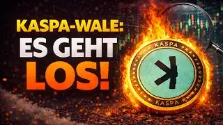 Crypto: ⚡ KASPA WHALES strike! Here we go!