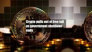 Crypto pulls out of free fall as government shutdown ends