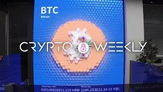 Crypto Weekly: Stable coins, wobbly exchanges