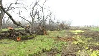 CSRA farmers face ongoing struggles after Hurricane Helene