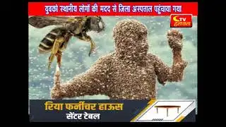 मधुमक्खी के झुंड ने युवक पर किया हमला, गंभीर घायल | Ctv halchal