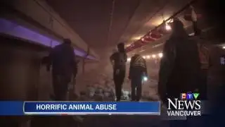 CTV NEWS AT 6PM JUNE 14