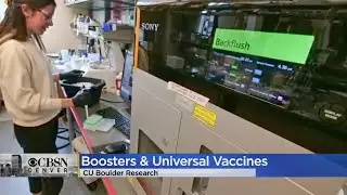 CU Boulder Researchers Develop Method To Quickly Identify COVID Mutations