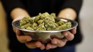 Curaleaf Sees Marijuana Sales Growing Later This Year