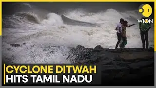 Cyclone Ditwah Update: Tamil Nadu Braces for Cyclone Ditwah, Heavy Rainfall Reported | WION