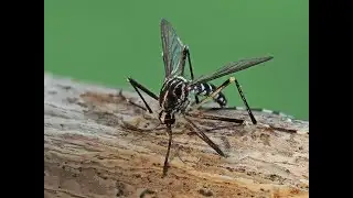 Cyprus News Digest 31st October 2025