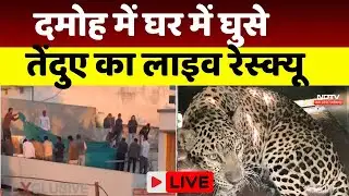 Dahmoh Panther LIVE Rescue: दमोह में घर में घुसे तेंदुए का देखिए लाइव रेस्क्यू | Breaking |Top News