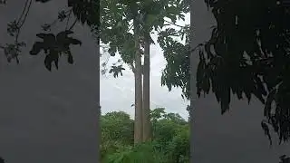 Daily reflection on our life