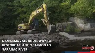 Dam removals underway to restore Atlantic salmon to Saranac River