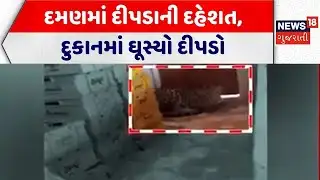 Daman Leopard News | દમણમાં દીપડાની દહેશત, દુકાનમાં ઘૂસ્યો દીપડો | Forest Department | Leopard Video