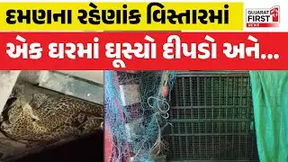 Daman Leopard Rescue : દમણના રહેણાંક વિસ્તારમાં દીપડાનો આતંક | Gujarat First