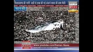 Daman News  4-6-2019